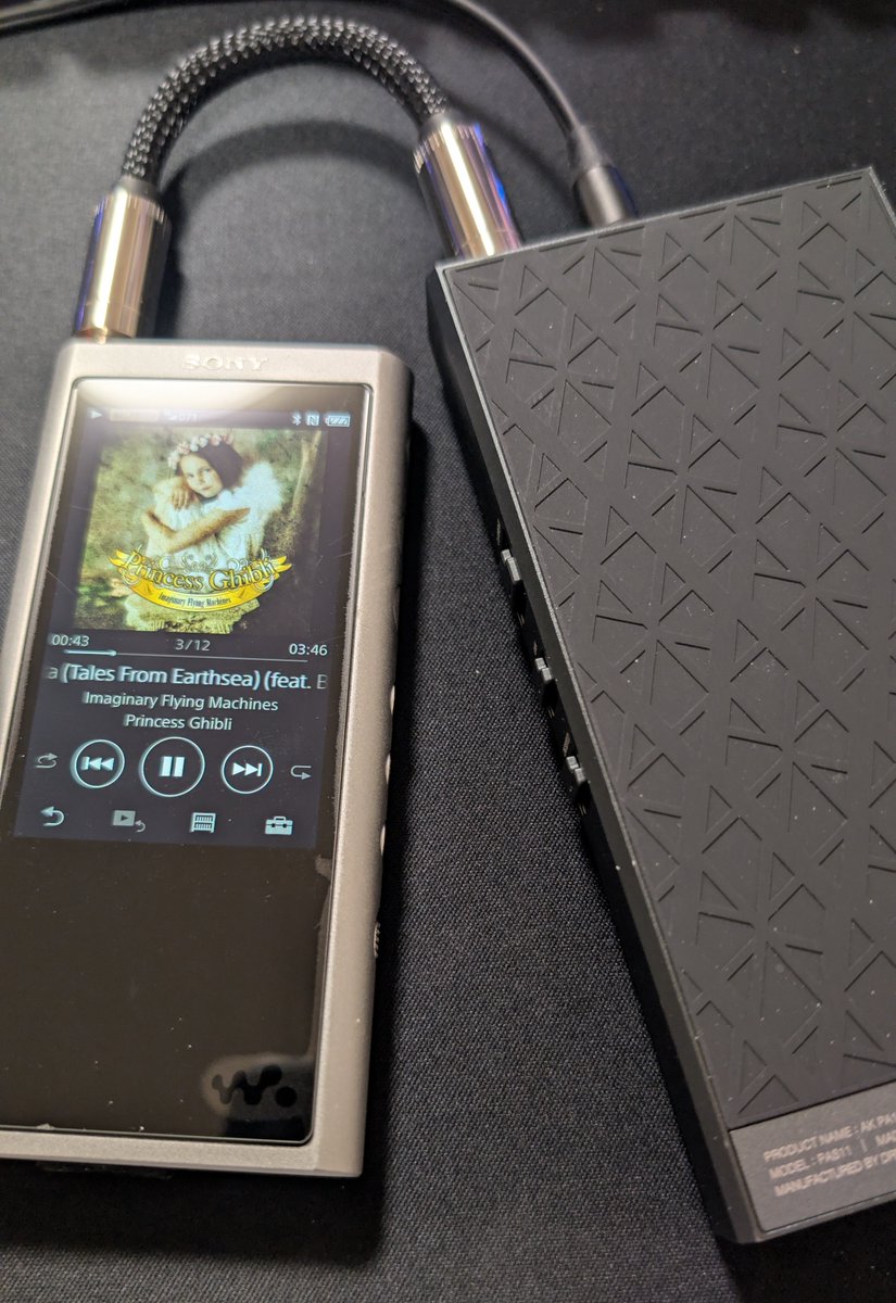 低音の響き方が中々心地良いぞ NW-ZX300 AK PA10 Connect 01 intime 夜桜