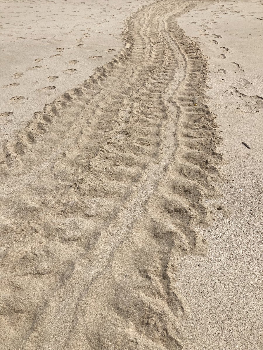 Equilibrio Azul tweet media