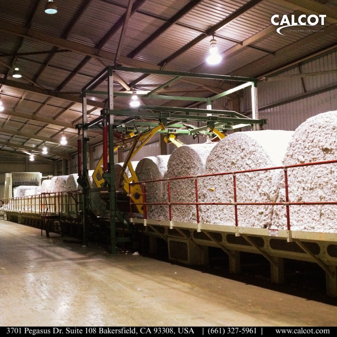 Calcot’s global network delivers your cotton to mills worldwide. Join our cooperative at calcot.com/join.