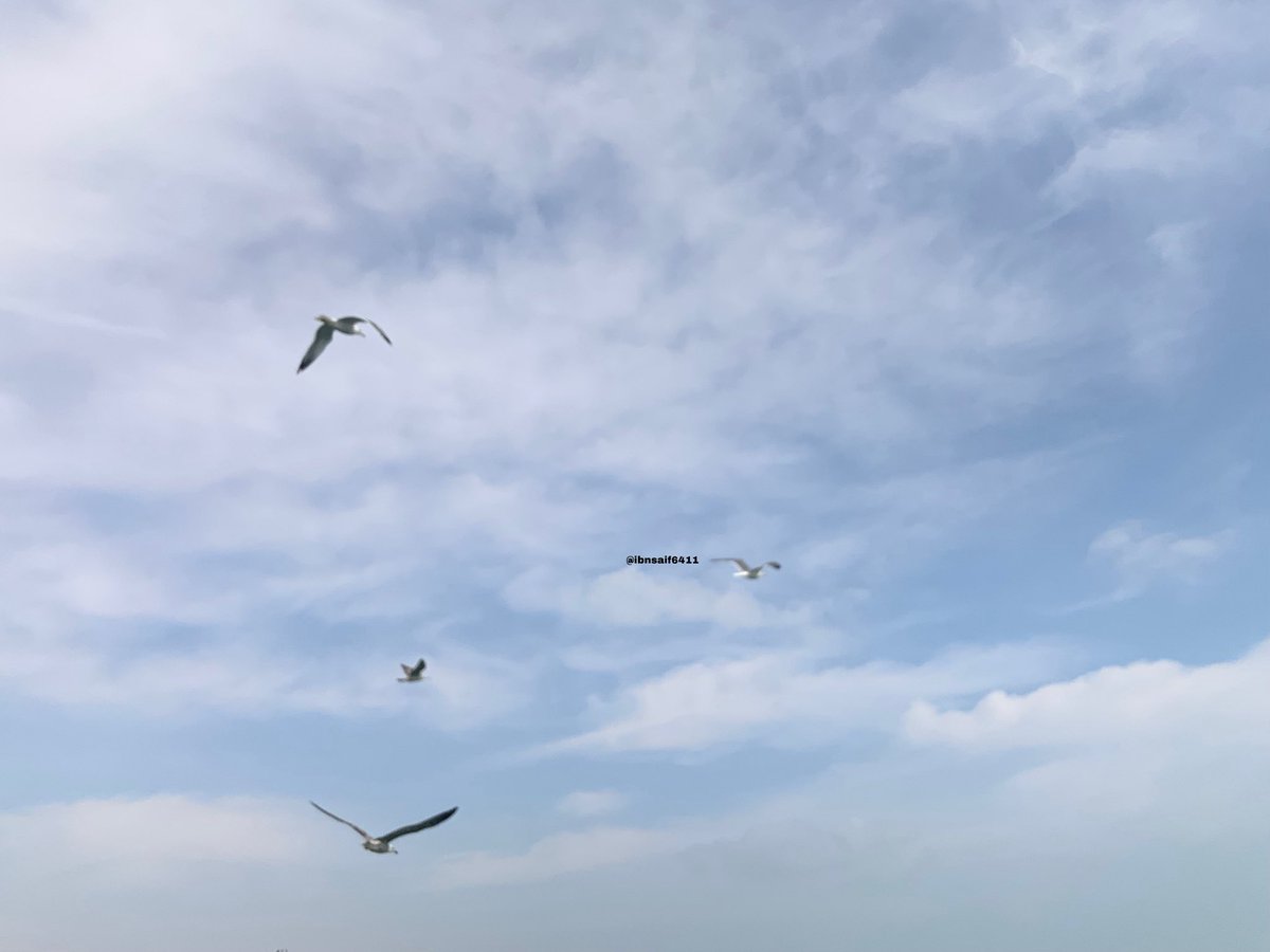 القوانين الوضعية كبيوت العنكبوت،
تُمسك الضعيف إذا زلّت قدماه،
لكنها لا تقوى على ردع الجبابرة إن عبروا.
أما شرع الله، فهو العدل المطلق،
وكل حكمٍ منه جاء بحكمةٍ خفية،
رحمةً بعباده، وتربيةً لقلوبهم،
فما من حدٍ إلا وفيه صلاح،
وما من أمرٍ إلا وفيه نور لمن أبصر بنور الله