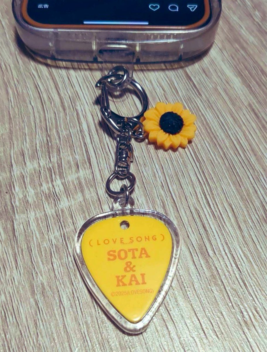 LOVE SONG)ピックをケースに入れてる方の投稿を見て私も買って入れて