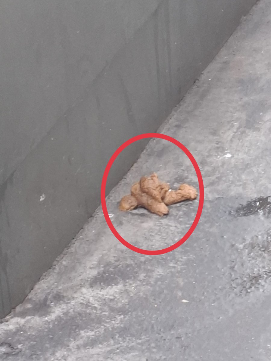 La sanisette rue A. Paré #Paris10, salle de shoot bis💉💉 est régulièrement dans un tel état d'insalubrité, que certains défèquent 💩à l'extérieur.
Photos de ce matin.
Merci <a href="/ACORDEBARD/">Alexandra Cordebard</a> <a href="/RemiFeraud/">Rémi Féraud</a> <a href="/MILDECAgouv/">MILDECA</a> <a href="/ARS_IDF/">ARS Île-de-France</a>
Cc : <a href="/stephanie_rist/">Stéphanie RIST</a> <a href="/NunezLaurent/">Laurent Nuñez</a> <a href="/prefpolice/">Préfecture de Police</a> <a href="/Prefet75_IDF/">Préfecture de la région d’Île-de-France</a>