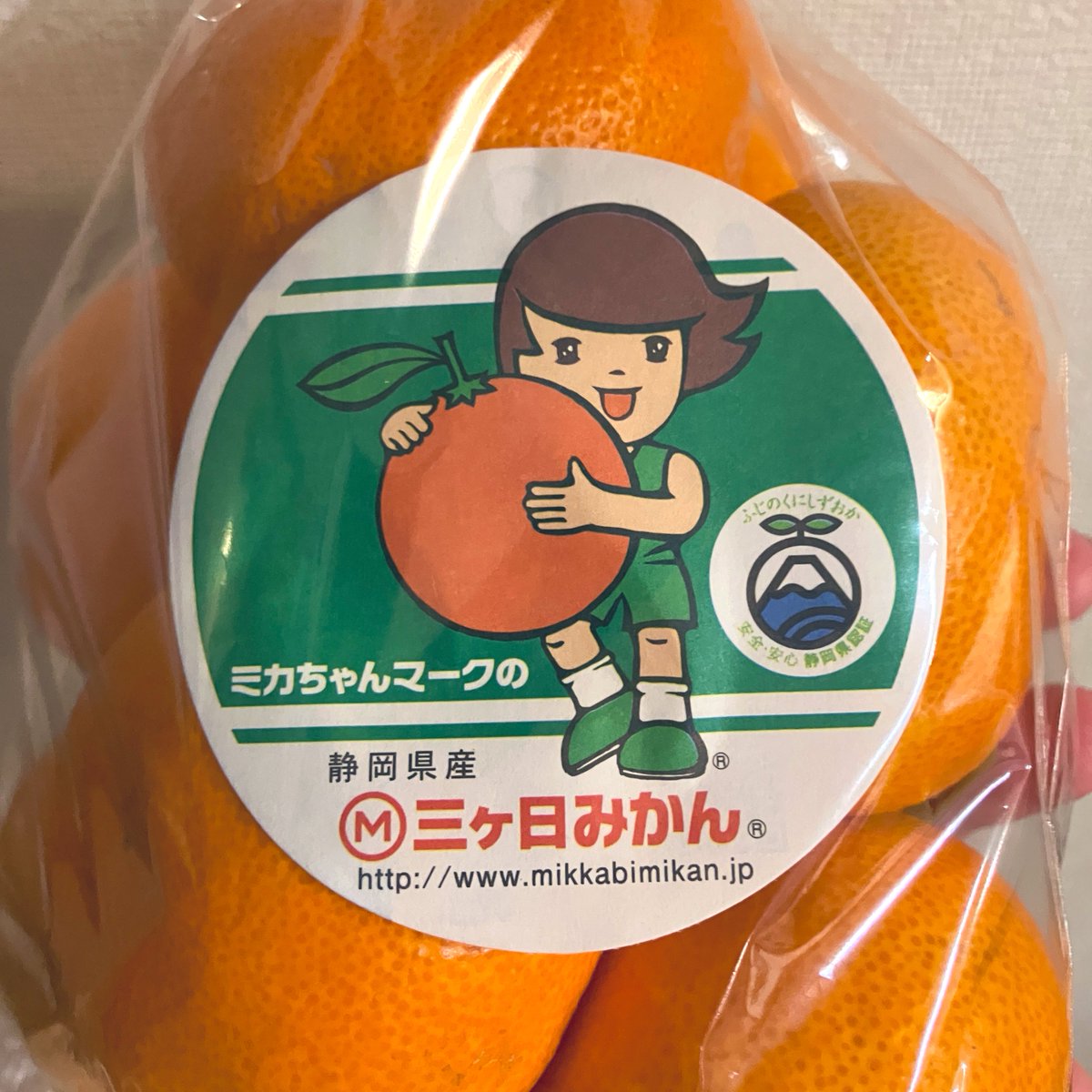 最近Xで大活躍のミカちゃん先輩🍊 ポストを拝見して急いで #早生 の