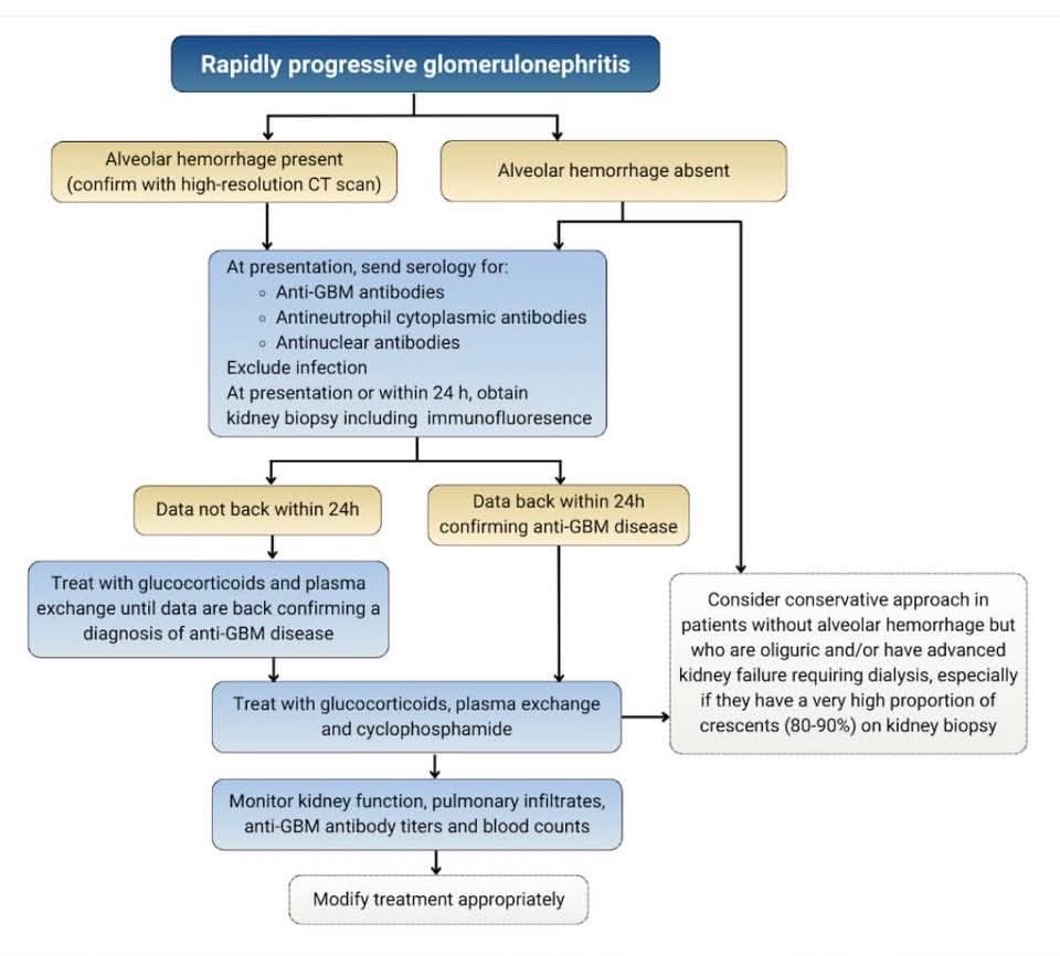 FranLoachamin's tweet photo. Aproximación a glomerulonefritis rápidamente evolutiva https://t.co/ktjULhaFpW