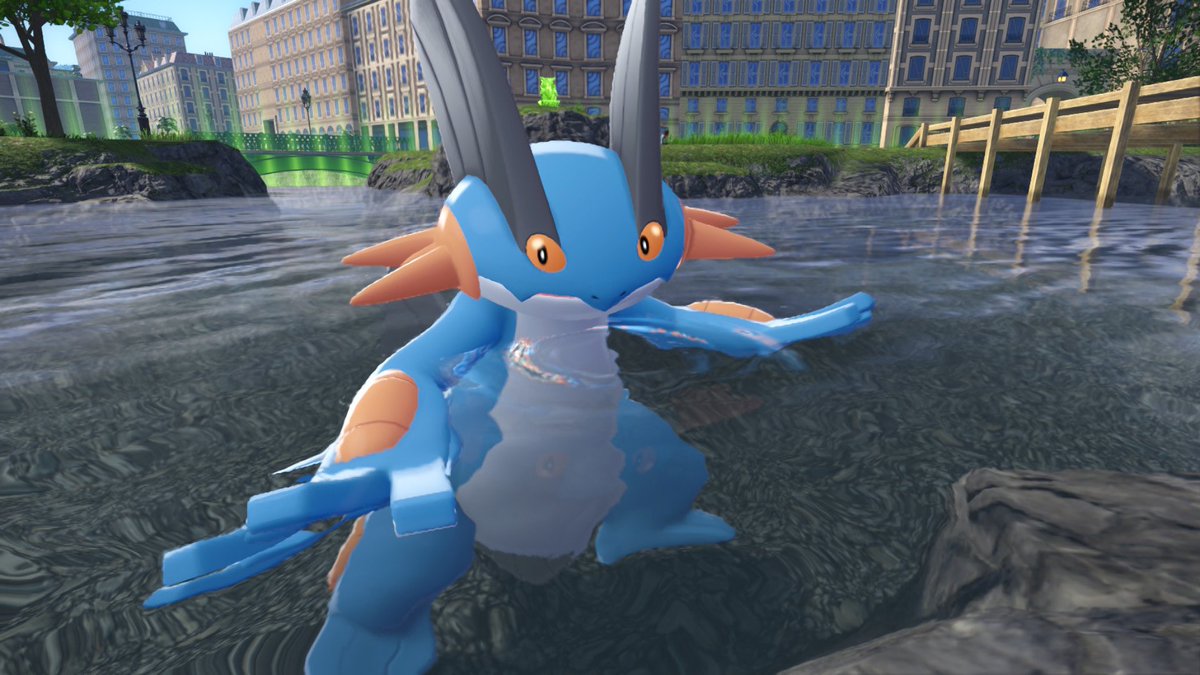hoenn_0260's tweet photo. ずっとカワイイ https://t.co/facBjasysN