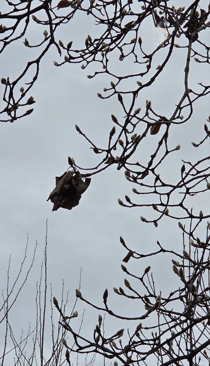 송년
꿈을 향한 일들
힘듦 뒤에 숨었네
새해
좋은 메세지로
미소지음 많기를

#웃자 #새해 #웃자
