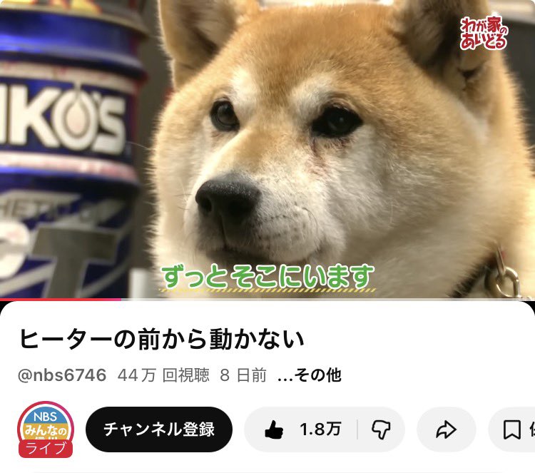 そろそろ1人暮らしの準備をしましょう tweet media
