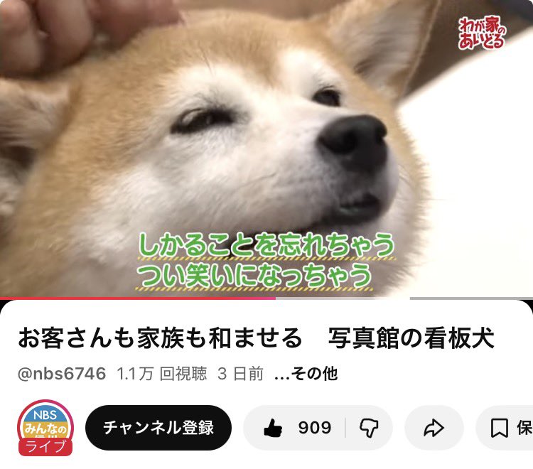 そろそろ1人暮らしの準備をしましょう tweet media
