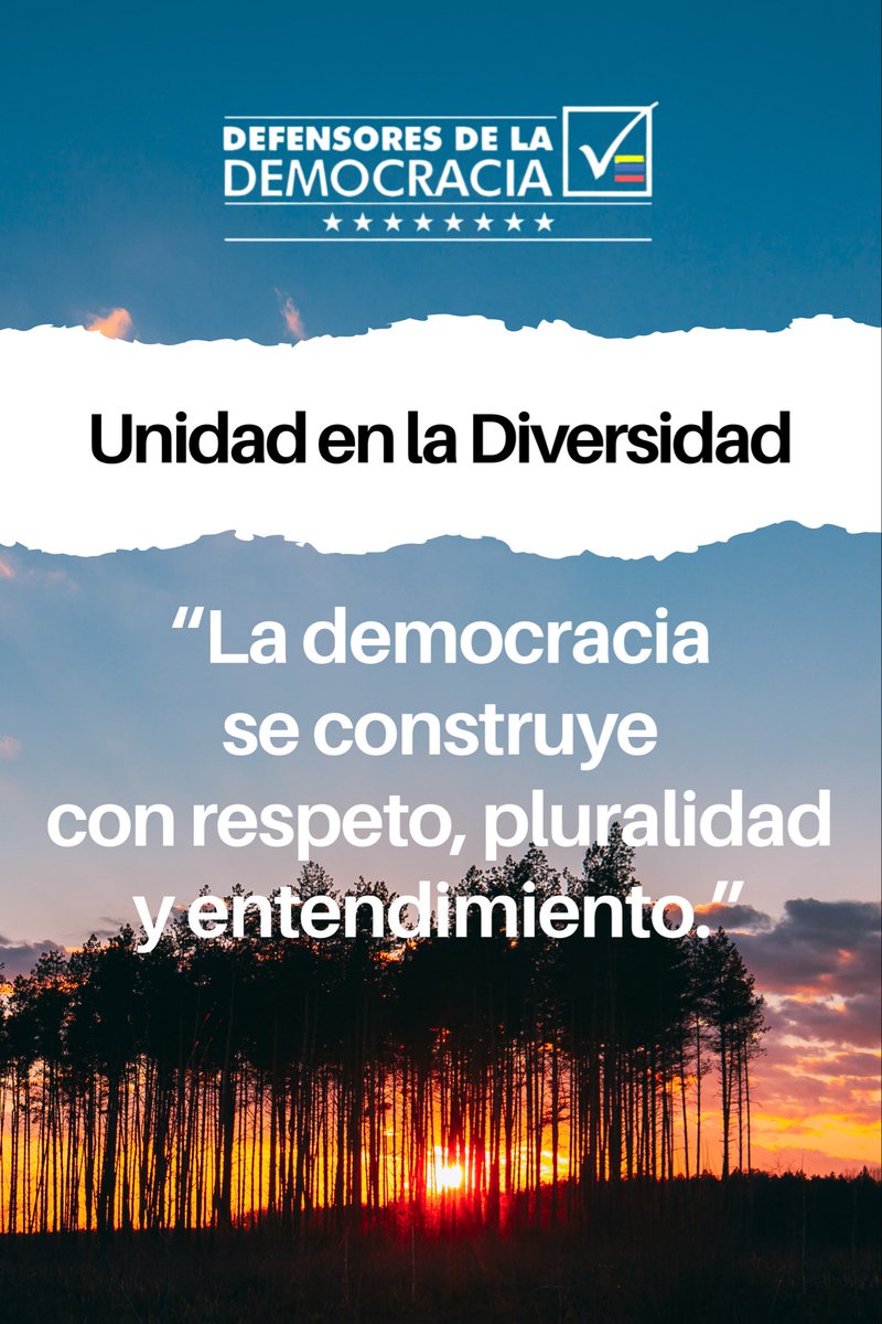 Defensores de la Democracia Venezuela tweet media