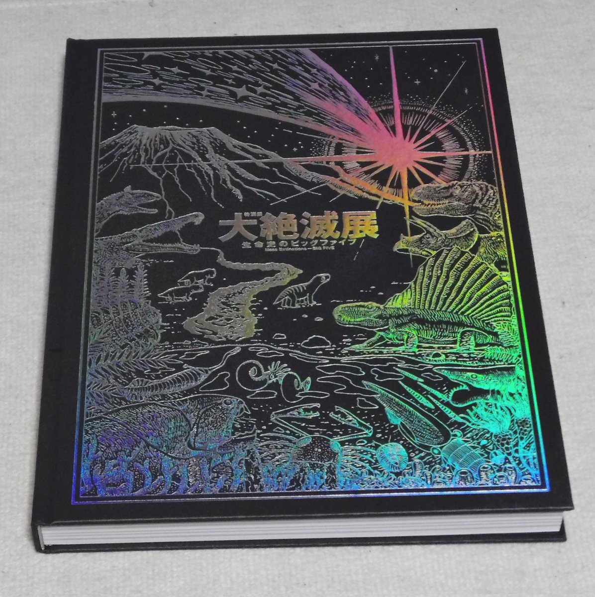 戦利品としては、図録は絶対欲しかったのでそれと限定ゾイド2種と