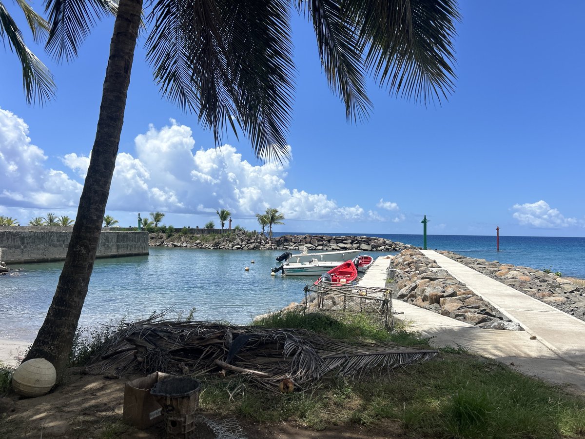 nelciathewriter's tweet image. So much to love about you.