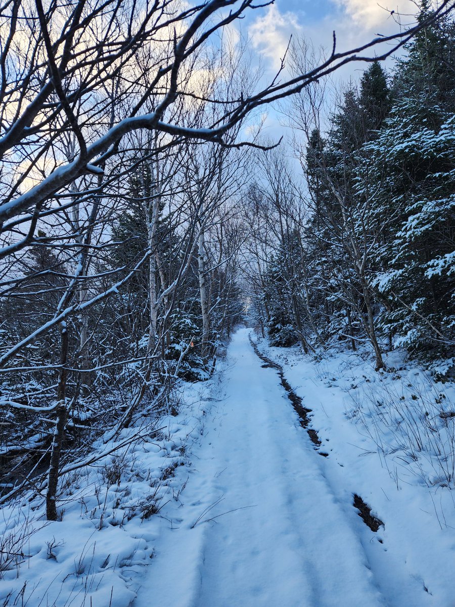 Ernie Weir (@weirernie) on Twitter photo 