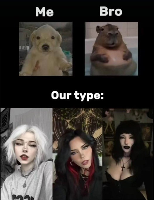 RealestMemes tweet media