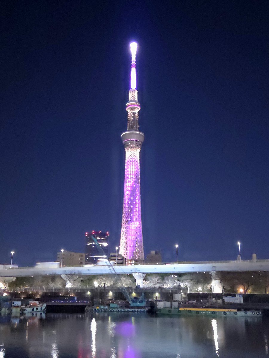 rmdesign59's tweet photo. 東京散策
東京スカイツリー
撮影場所:墨田公園
#夜景
#東京
#東京スカイツリー
#携帯撮影
#RMdesign https://t.co/qnrZDIUjWd