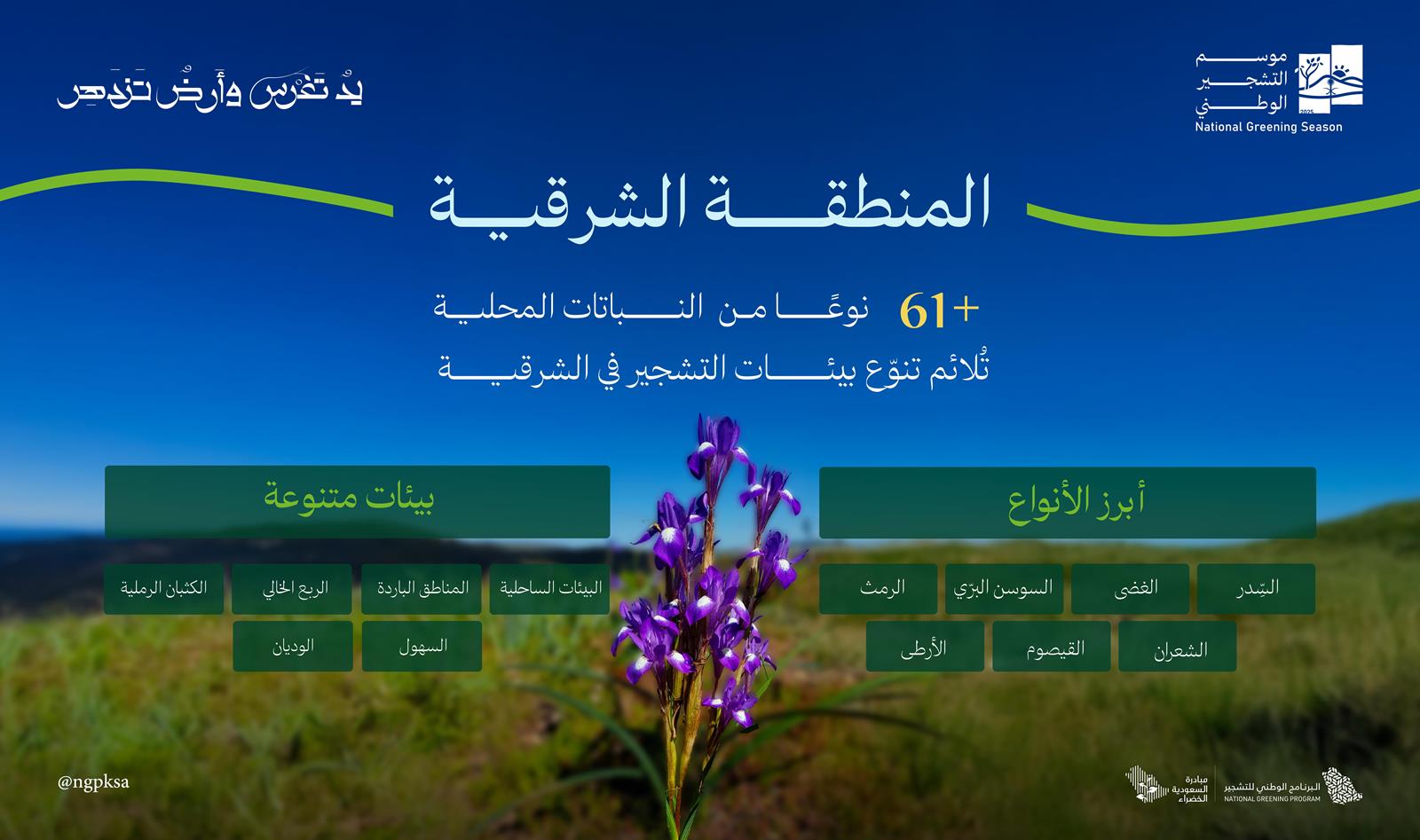 انتشار 61 نوعًا من النباتات المحلية في الشرقية #معكم_باللحظة 