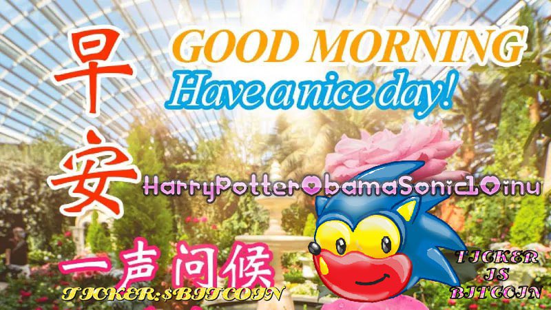 OGPFBITCOIN's tweet photo. GM https://t.co/YCogl7Fbtw