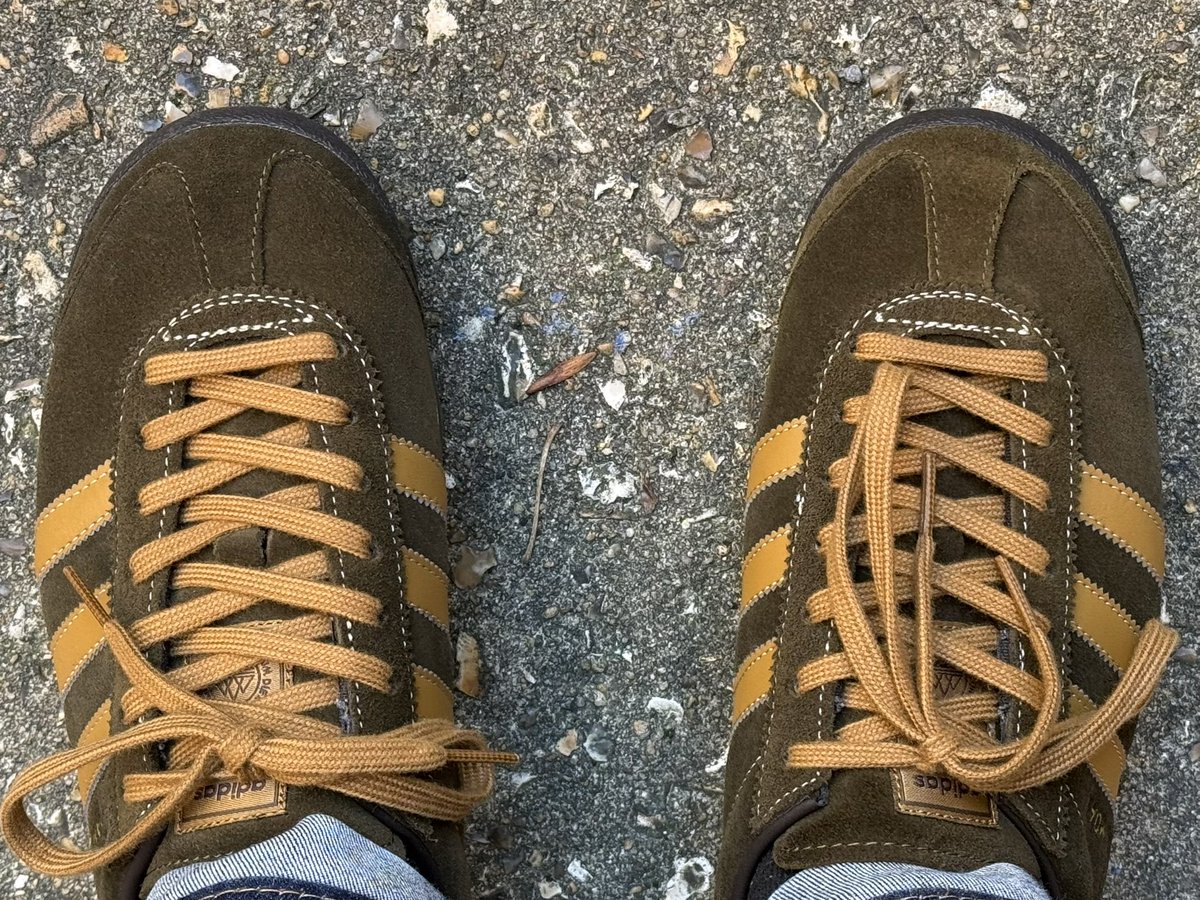 // // // ANDY tweet media