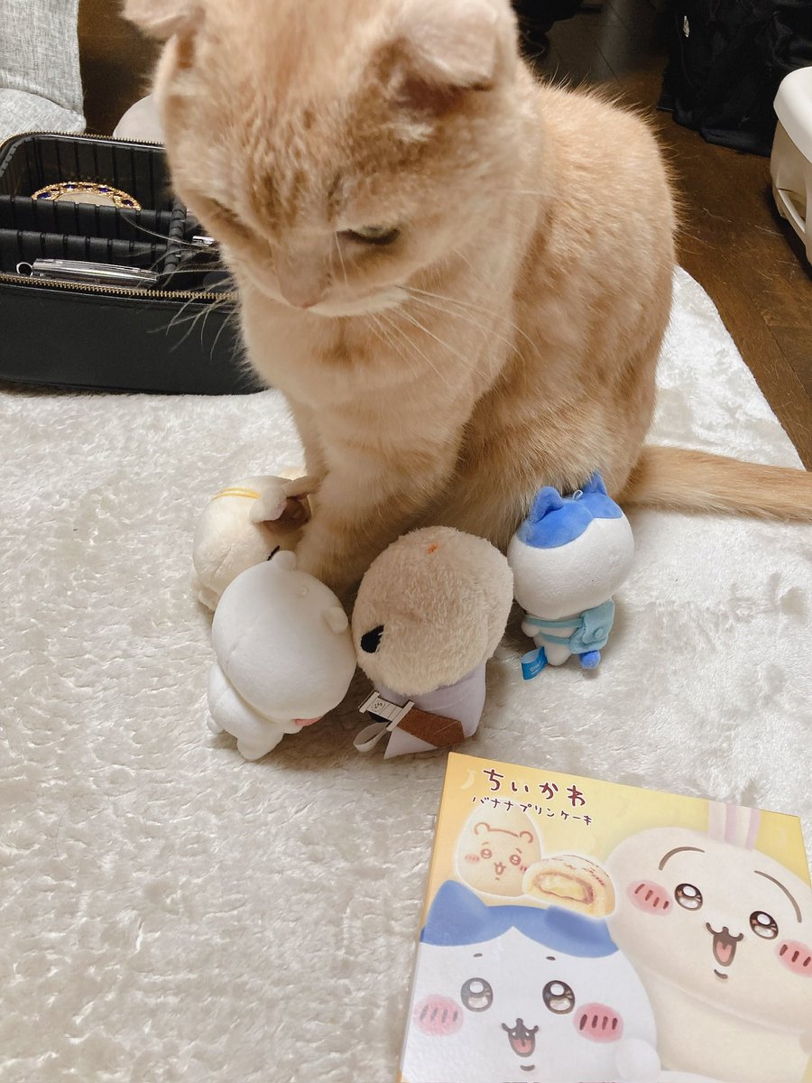 負けられない戦いが始まる