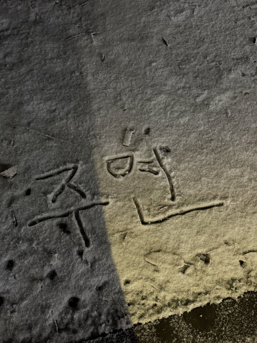 푸학
