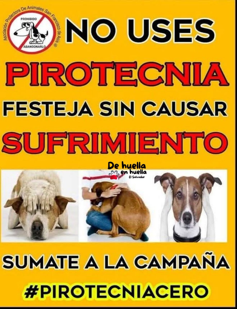 CELEBRA SIN HACER SUFRIR A OTRO !!!

#PROTEGEALOSANIMALES
#NOALAPIROTECNIA