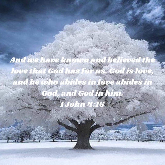 Jsano97's tweet image. 