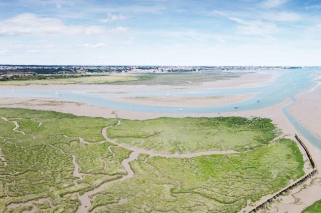 Martin Andrysek tweet media