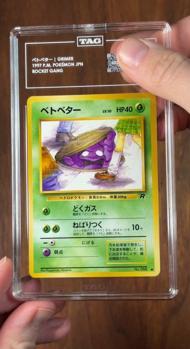 dachshundwizard's tweet image. Wait what’s going on here