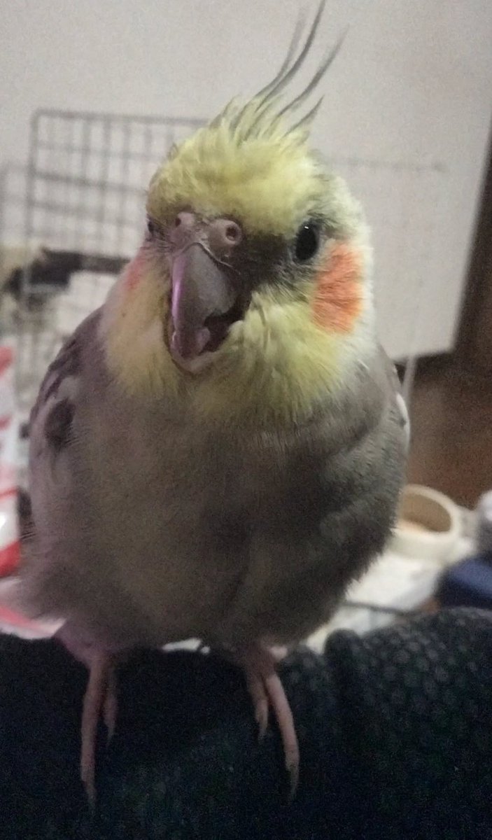 なんなん、その顔？？ちょっと可愛いやん