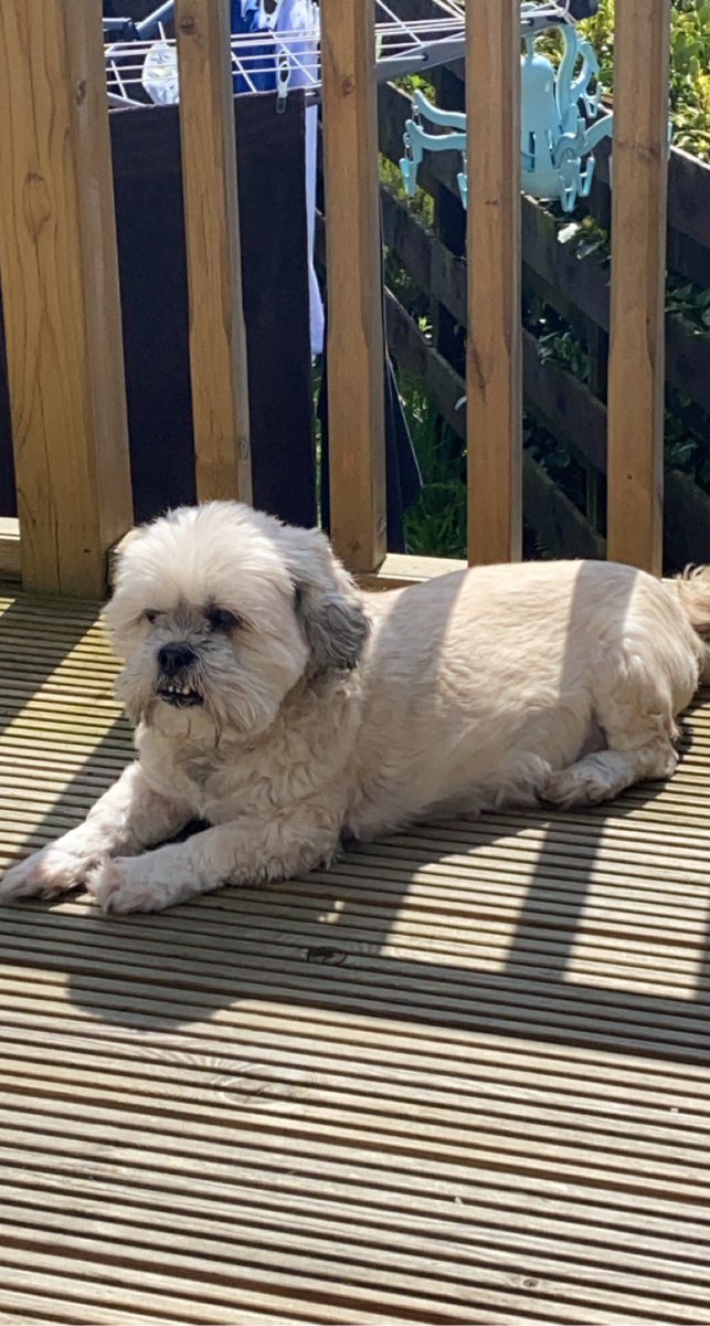 🩷 Tayler 🩷 tweet media