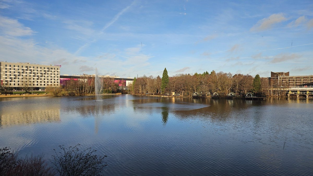 Emma Ludlow tweet media