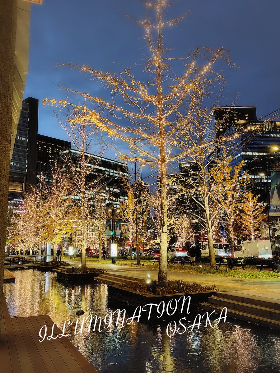 ちょっとイルミを見てきたぁ☺️🩷 めっちゃ綺麗やったぁ☺️