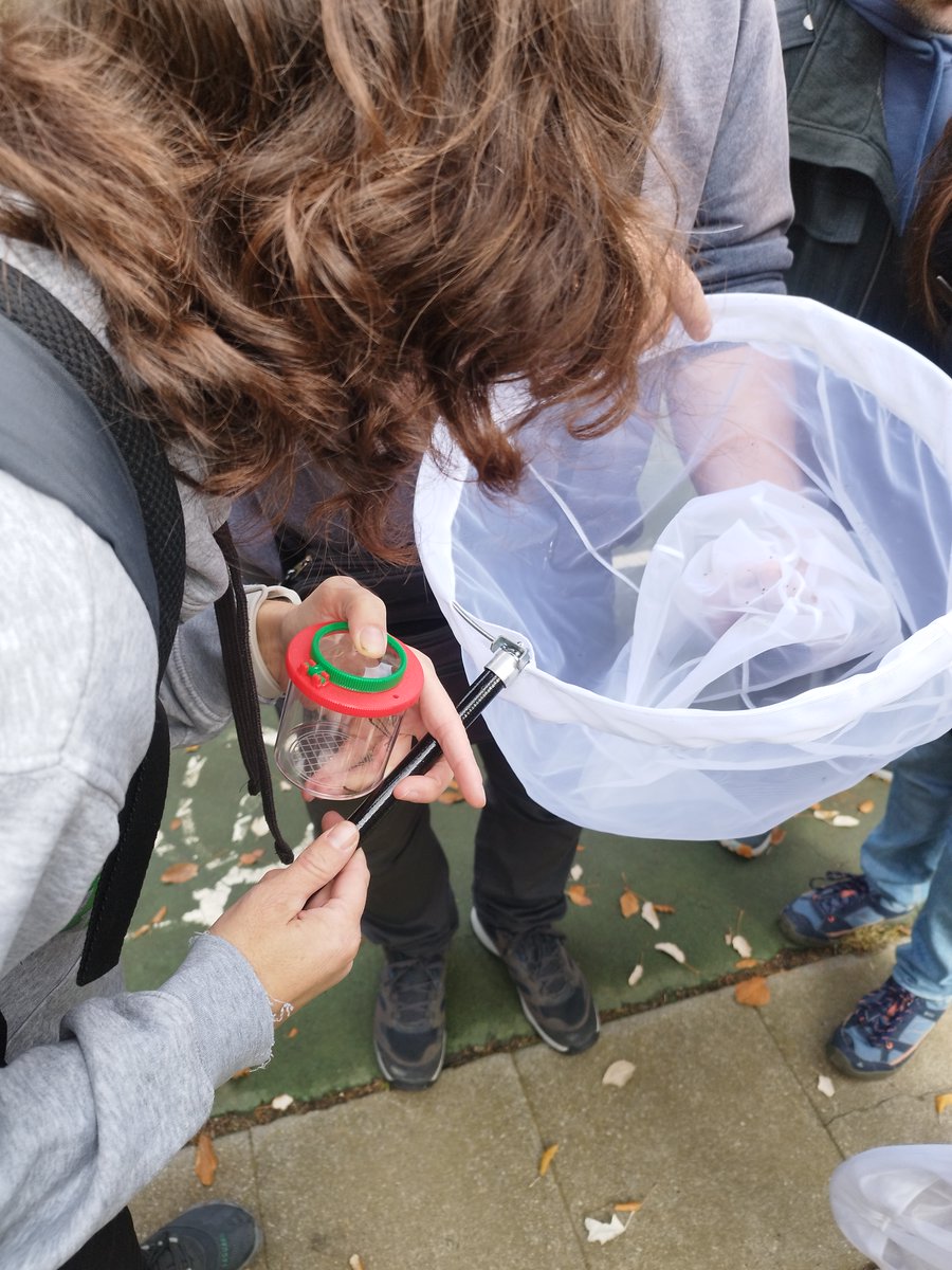 BiblioPalafolls's tweet image. 🐞 Primera sortida del Projecte de Ciència Ciutadana Bitxos!  #BiblioLabXBM