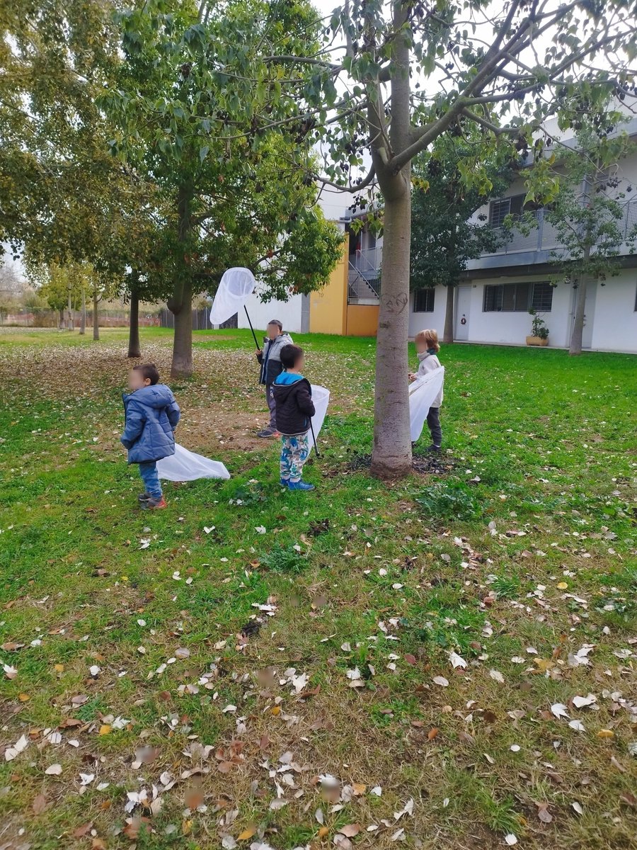 BiblioPalafolls's tweet image. 🐞 Primera sortida del Projecte de Ciència Ciutadana Bitxos!  #BiblioLabXBM