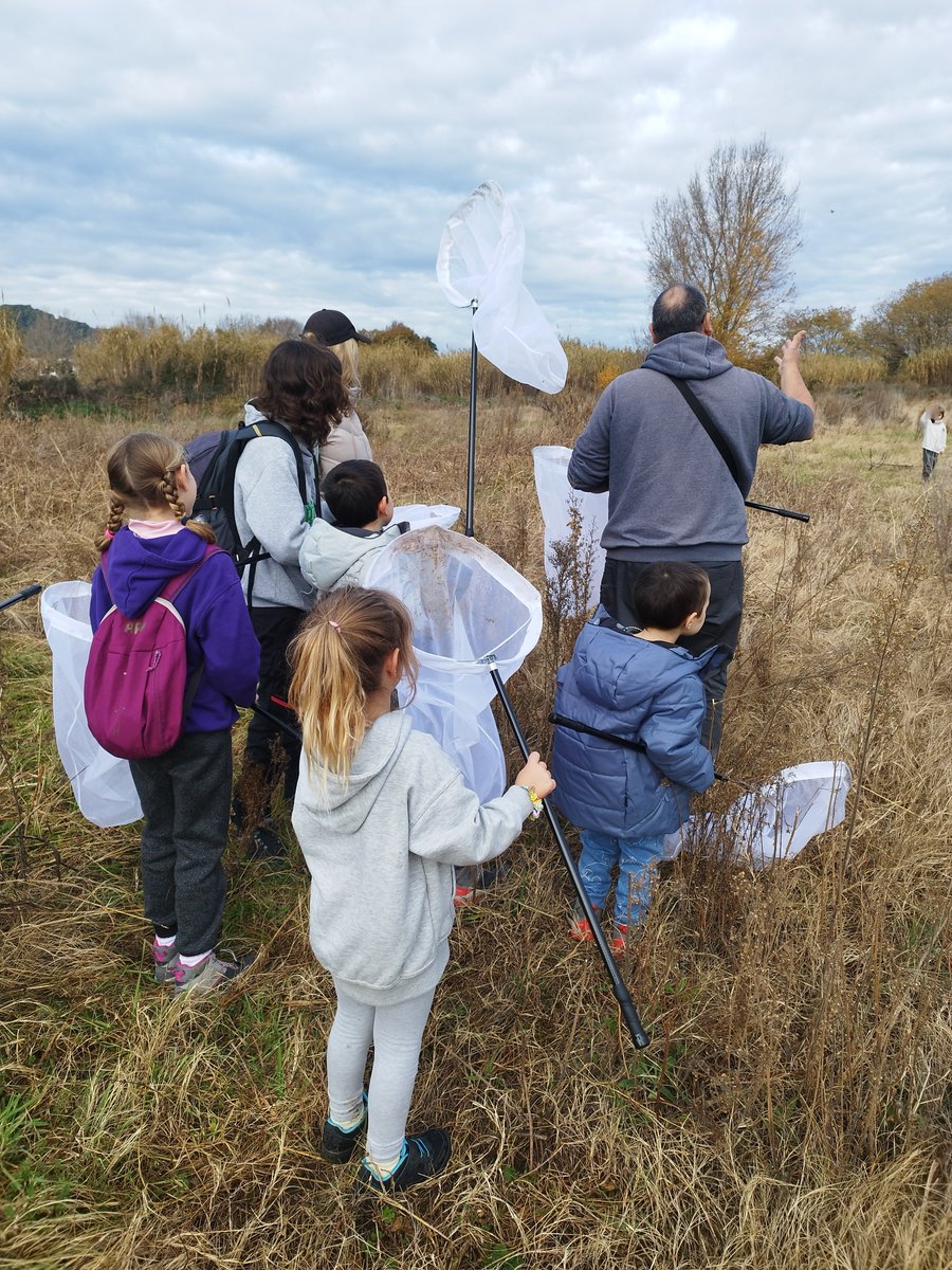 BiblioPalafolls's tweet image. 🐞 Primera sortida del Projecte de Ciència Ciutadana Bitxos!  #BiblioLabXBM