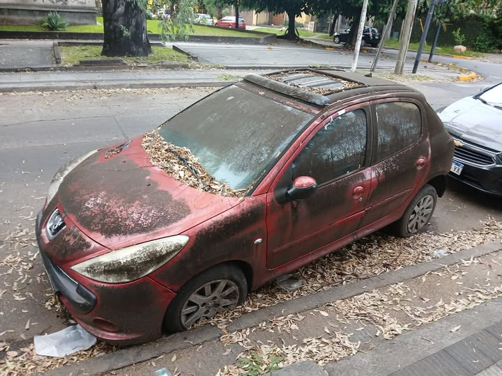 MANDANGA CON V DE VENGANZA tweet media