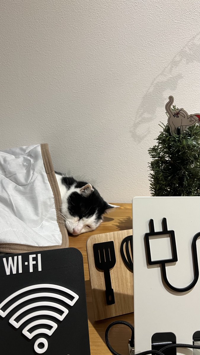 ︎山本 正義 (Masayoshi Yamamoto)立ち猫®︎ (@nekoiroiro