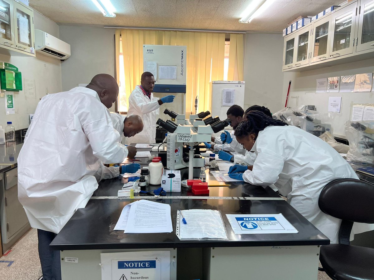 zoicfeli2's tweet photo. #Practical session, Day 1
Blood slides preparation,  staining and microscopy https://t.co/4kZQVOEv5W