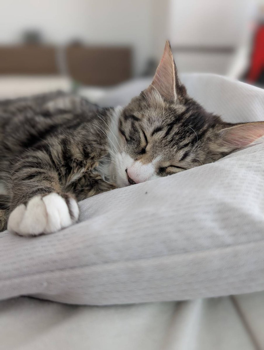 相模原市 #厚木市 #海老名市 昨日から投稿者は西での閉店される店舗の