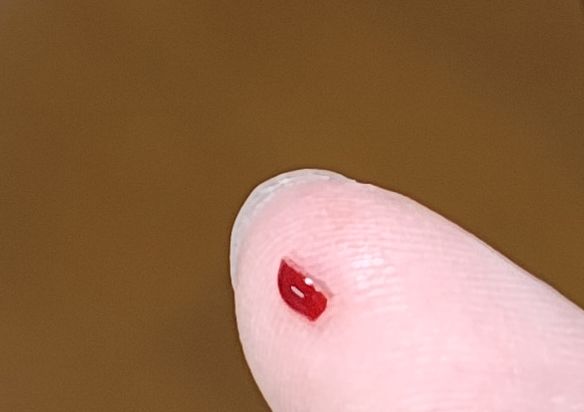 ゴジラ 手の爪 らむねちゃんがゴジラさんのかごの上に行く時があって、らむねちゃんは