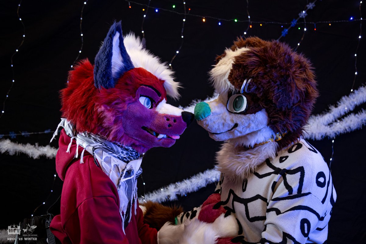 Ajax 💚 tweet media