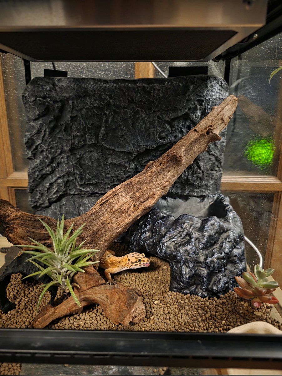 こなっこ (@KzxHana) / Posts / X