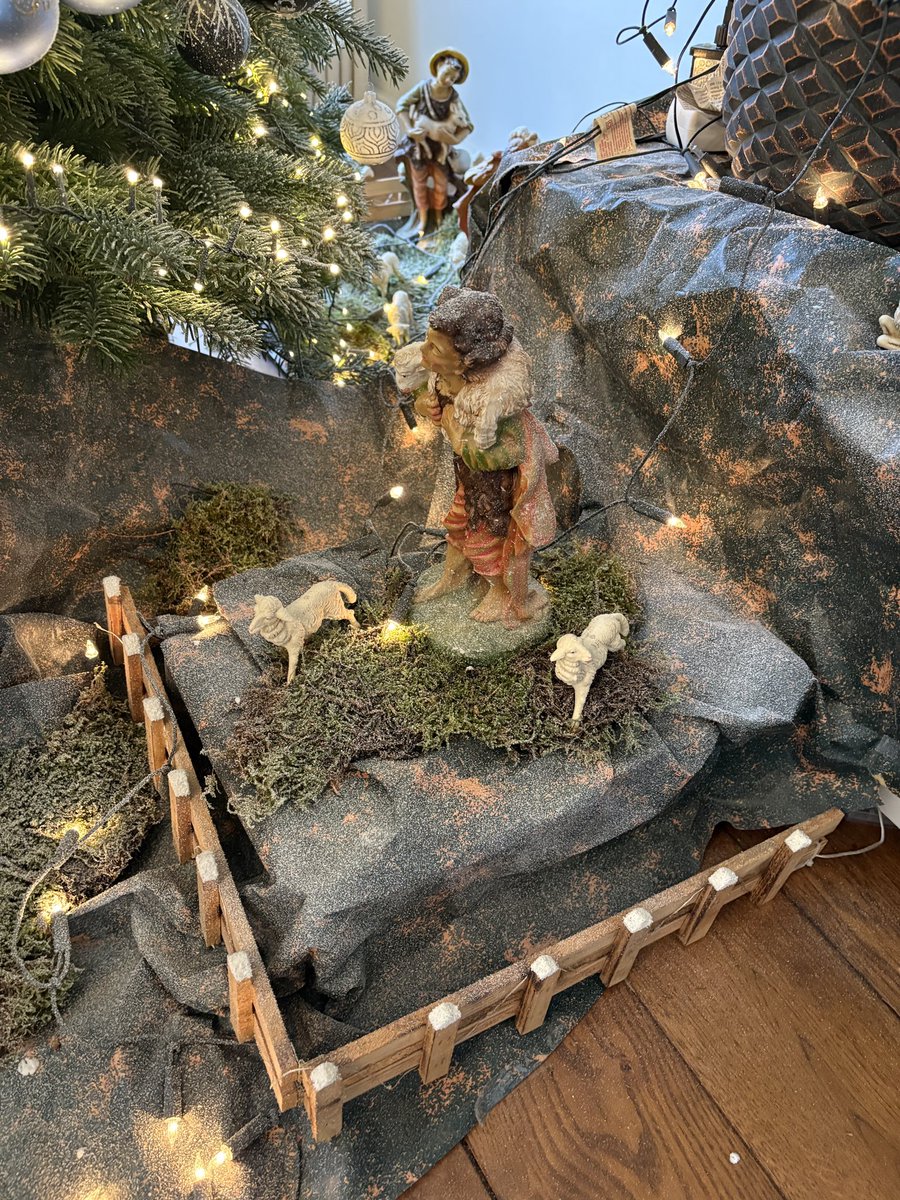 Fer Koolen tweet media