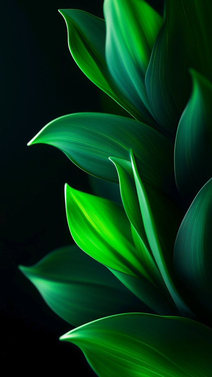 Phone Wallpaper (@PhoneyWallpaper) / Posts / X