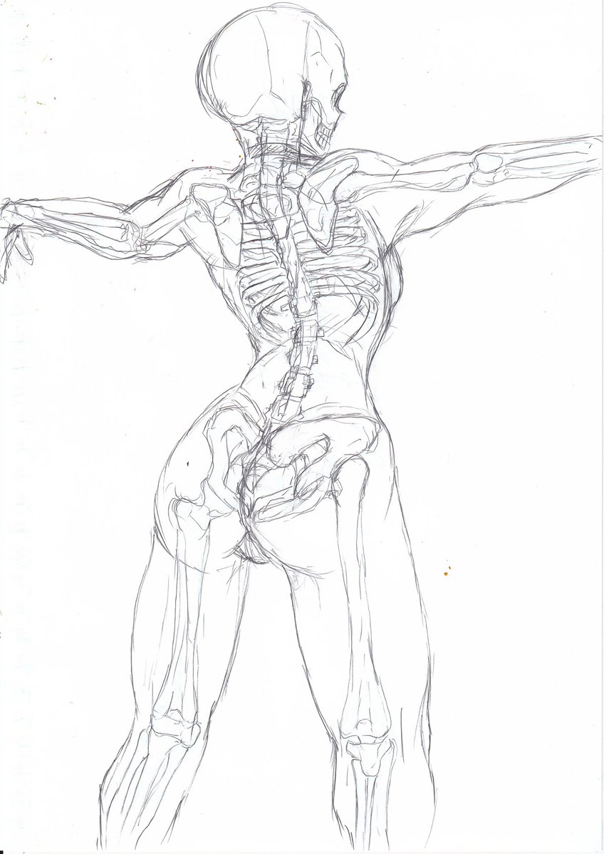 Post by 蕎麦つゆ on X: 夢で会いましょう