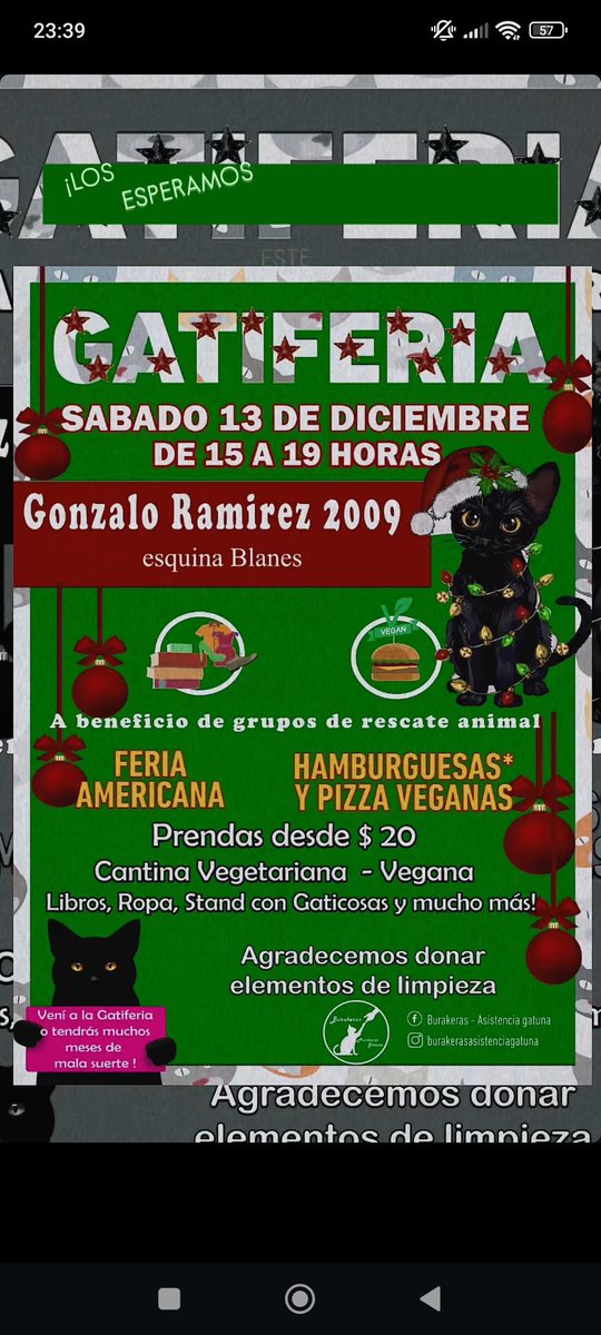 🏳️‍🌈Andres tweet media