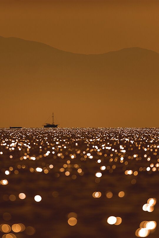 ocean (@hawsett4) on Twitter photo 