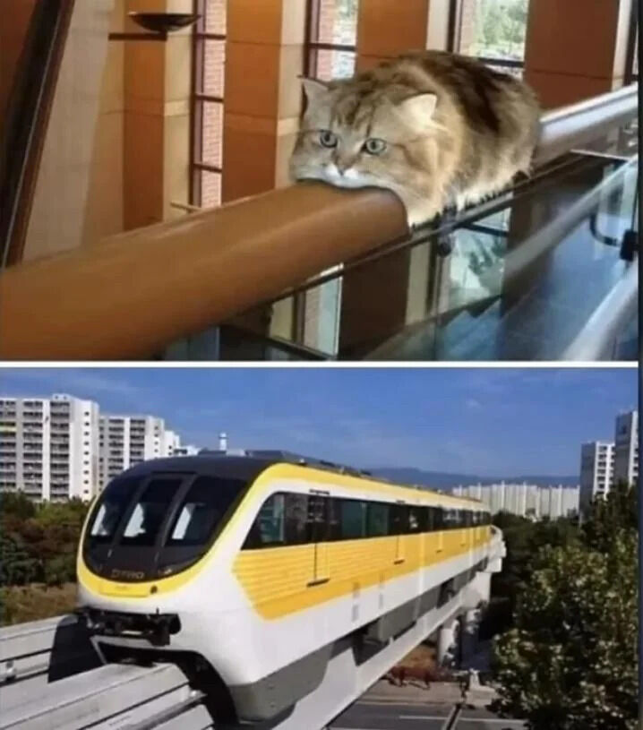 WholesomeMemes tweet media