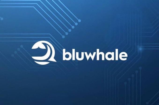 V1CTORHOODRICH's tweet image. At some point, using @bluwhaleai stopped feeling like I was checking a tool and started feeling like I had one intelligent brain watching over my entire Web3 life. Every wallet, every chain, every move nothing felt disconnected anymore.

It gave me a strange kind of confidence.…