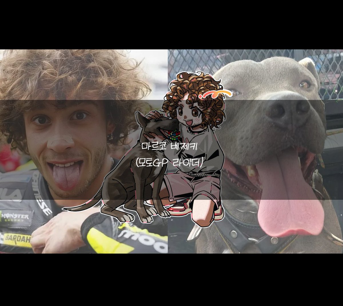 20251213 마르코 베제키(모토GP 라이더) 작업했습니다. 재신청 감사합니다 🇮🇹📷

(*함께 있는 강아지는 반려견 루빅입니다📷)