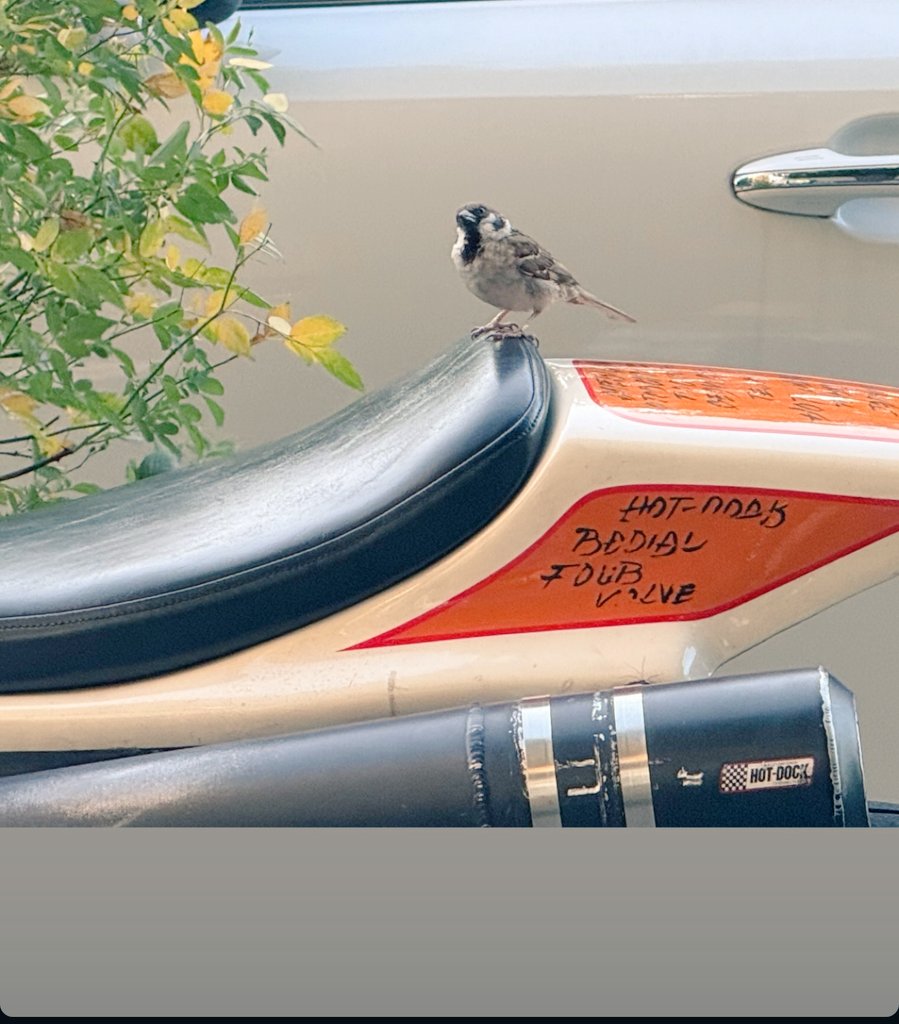 くろすけ (@kazuya_hr4v) / Posts / X